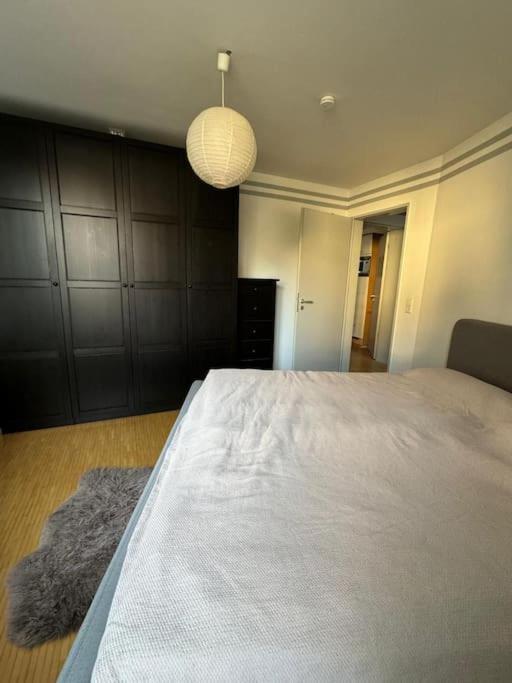 Gemuetliches Apartment Im Herzen Detmolds Exteriör bild