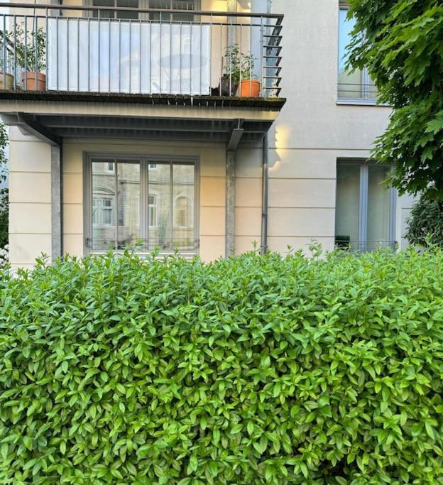 Gemuetliches Apartment Im Herzen Detmolds Exteriör bild